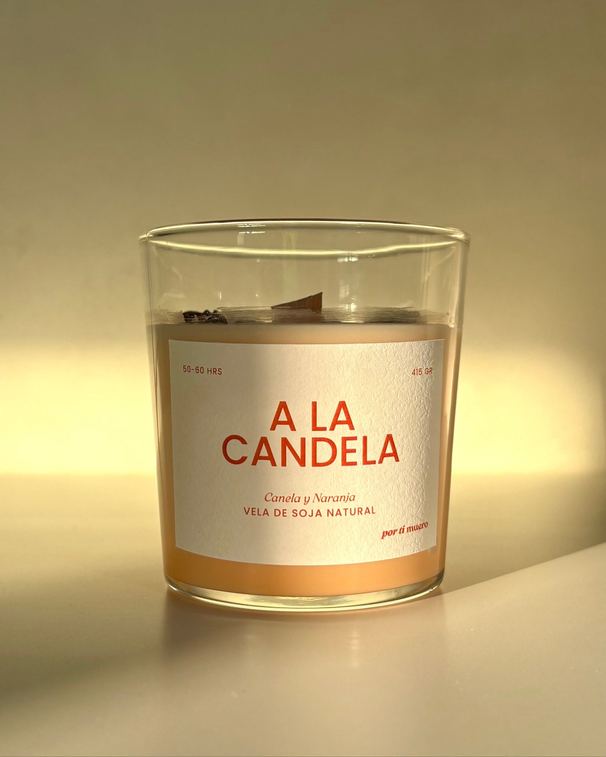 Vela de Canela y Naranja (1)